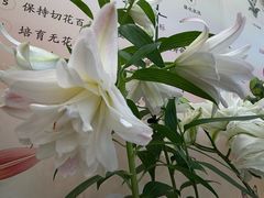 -中国农业博物馆