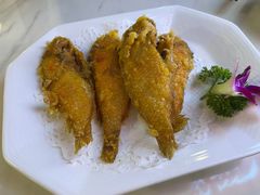 炸马头鱼-潮人姐妹轩(海宁路店)