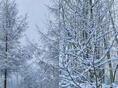 -九峰山