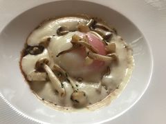 -蝶舍·MAISON PAPILLON