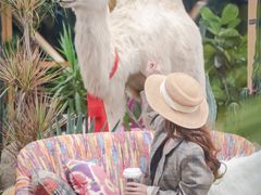 -中国天府农业博览园