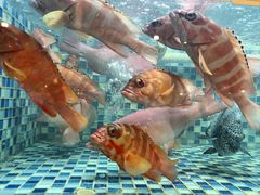 -顺德了能馆(虎门店)