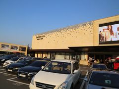 -新罗免税店(首尔总店)