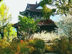 -台州府城(江南长城)
