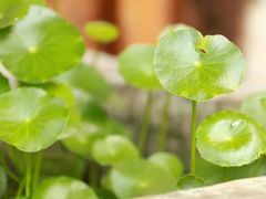 -驿舍·民國老营房院子私房菜(科学会堂店)