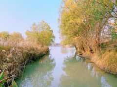 -长兴太湖图影湿地文化园