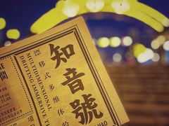 -武汉知音号