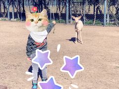 -北京麋鹿生态实验中心