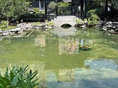 -荔湾湖公园