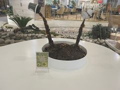 -1/4 ONE QUARTER COFFEE LAB(朝阳大悦城店)
