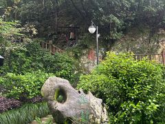 -十八棵（老龙井）御茶园(老龙井店)