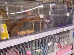 -钓仓鼠(洋桥北里小区店)