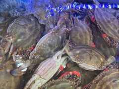 -日照大牌檔•小船海鲜(万平口店)
