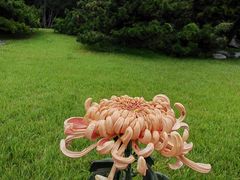 -国家植物园