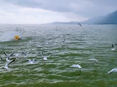 -滇池海埂公园