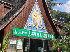 -野象谷景区