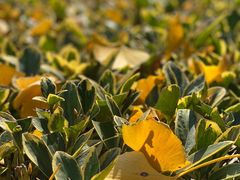 -苏州河梦清园环保主题公园