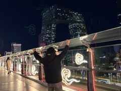 -羲和雅苑•北京烤鸭(国贸商城店)