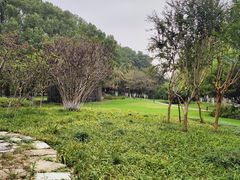 -范蠡湖公园
