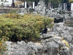 -常熟方塔园