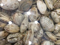 -良师门滨海人家·海鲜·家常菜(滨海城店)