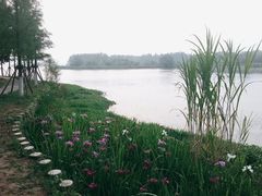 -东湖落雁景区