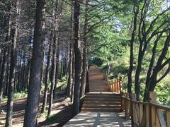 -驼梁风景区