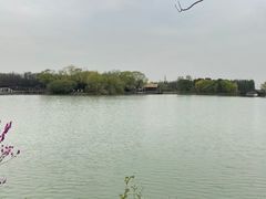 -苏州太湖国家湿地公园