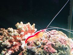 -暹罗海洋世界