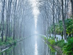 -合肥滨湖国家森林公园