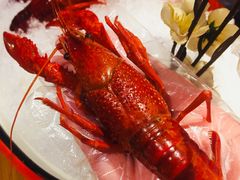 -虾弄弄海派小龙虾·牛羊蝎子火锅