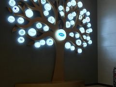 -上海华凯华美达广场酒店