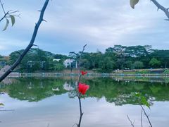 -东莞植物园