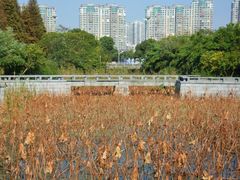 -蠡湖大桥公园