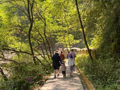 -西岭雪山大飞水景区