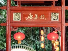 -侨美·唐荔园·40年地道粤菜