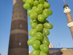 景点-新疆国际大巴扎