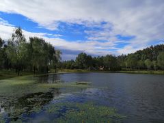 -东郊湿地公园