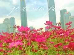 -海心沙亚运公园