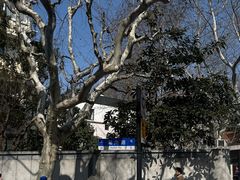 -RUMORS COFFEE ROASTERY鲁马滋咖啡(湖南路店)