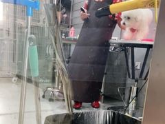 -宠福鑫康馨动物医院·骨科·眼科