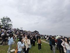 -观潮胜地公园