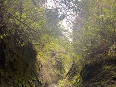 -峡谷浮石林景区