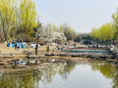 -青龙湖公园