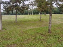 -汉长安城未央宫国家考古遗址公园