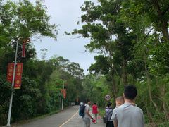 -广东惠东海龟国家级自然保护区