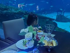 -海昌极光餐厅