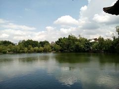 android_upload_pic-东莞市可园博物馆