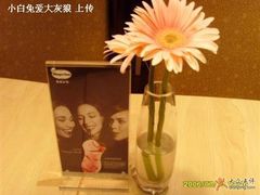 小摆设-哈根达斯(滨江店)
