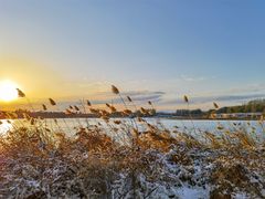 -大兴滨河森林公园